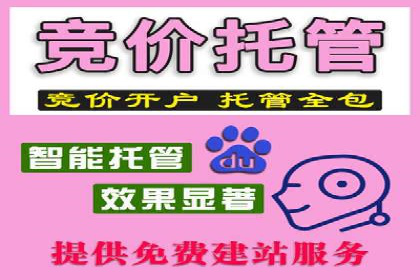 专业SEM服务公司案例分析报告